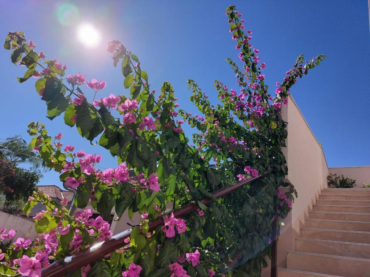 Apartments Lavanda - Free Parking And Grill Йезера Екстериор снимка